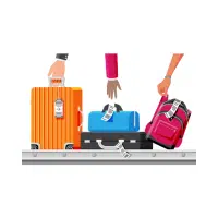 Baggage claim | Airport vocabulary words in English