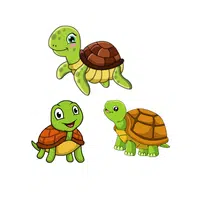 Bale of Turtles | Animals groups names in English