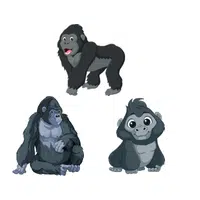 Band of Gorillas