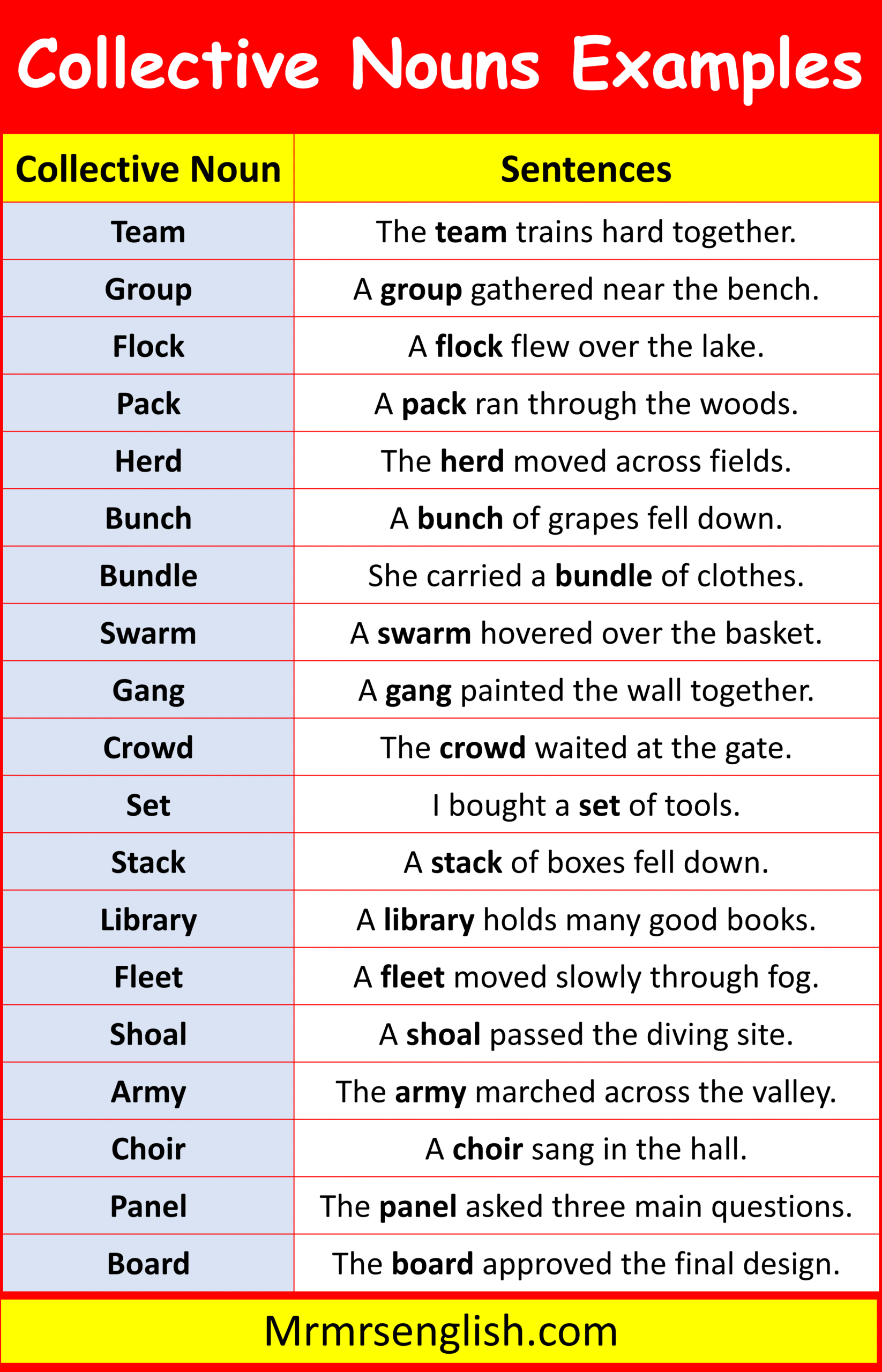 Best Examples of Collective Nouns in Daily Life