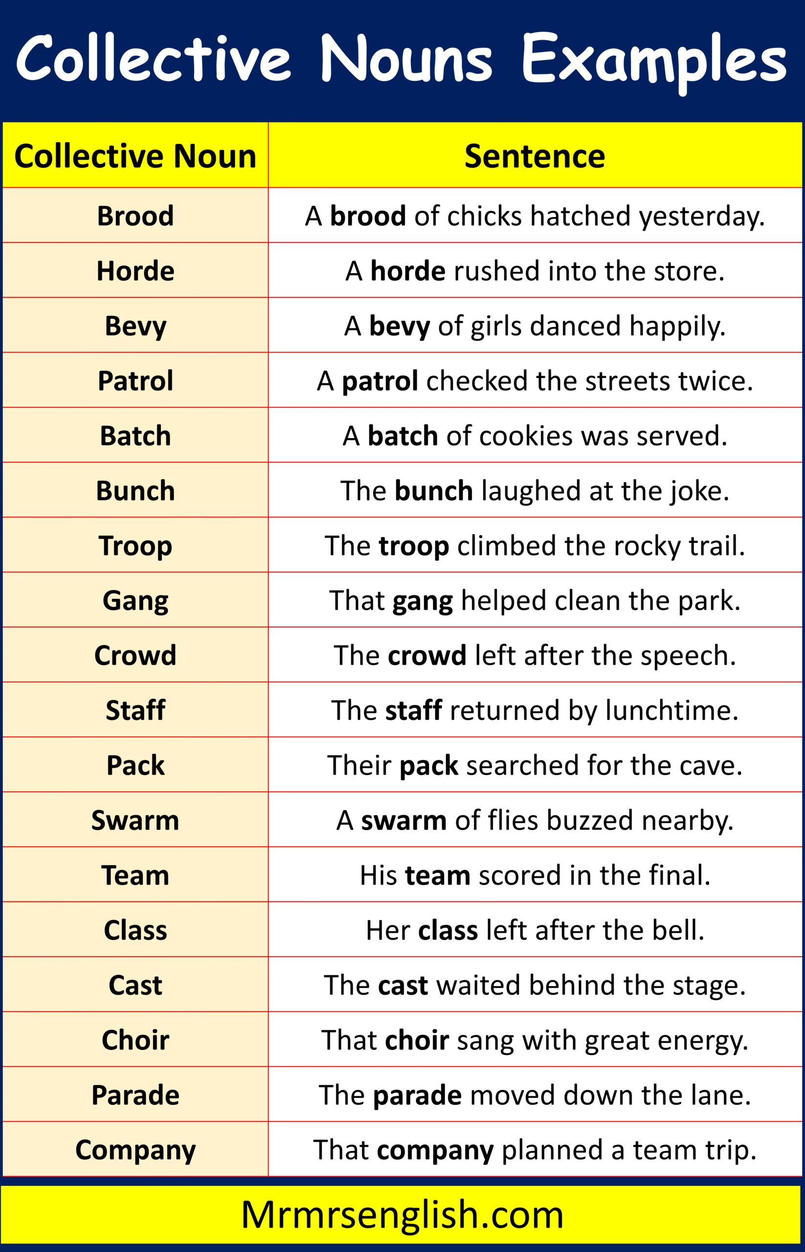words that are used to show group of people, animals, or things