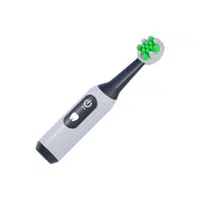 Electric Toothbrush