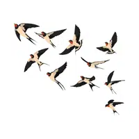 Flight of Swallows | Animals groups names in English