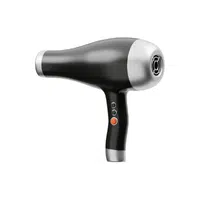 Hair Dryer | Electrical items names In English