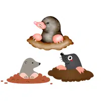 Labor of Moles | Animals groups names in English