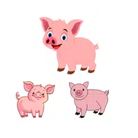 Litter of Pigs | Animals groups names in English
