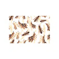 Plague of Locusts | Animals groups names in English