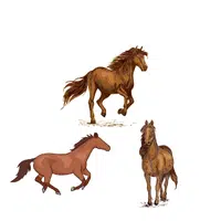 Stud of Mares | Animals groups names in English