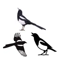 Tiding of Magpies | Animals groups names in English