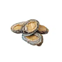 Abalone 