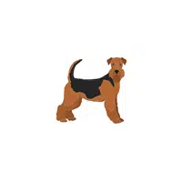 Airedale | Types of Dogs Names in English