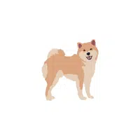 Akita | Types of Dogs Names in English