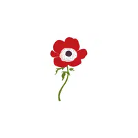Anemone | Plants Names in English