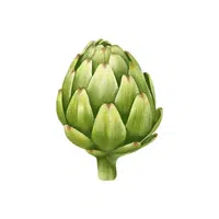 Artichokes