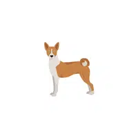 Basenji | Types of Dogs Names in English