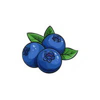 Blueberries | Grocery Store items Names in English