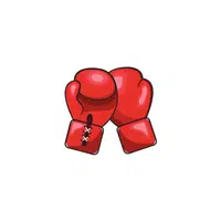 Boxing gloves | Sports Equipment Names in English