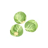 Brussel sprouts
