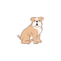 Bulldog