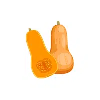 Butternut squash