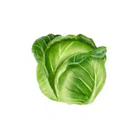 Cabbage