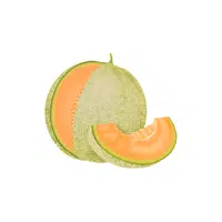 Cantaloupe