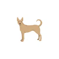 Carolina Dog | Types of Dogs Names in English
