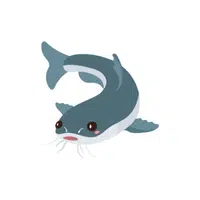 Catfish | Seafood items Names in English