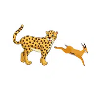 Cheetah – Gazelles