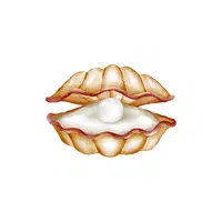 Clam | Seafood items Names in English