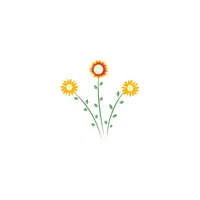 Coreopsis