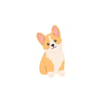 Corgi | Types of Dogs Names in English
