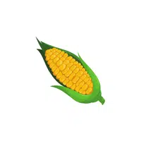 Corn | Grocery Store items Names in English