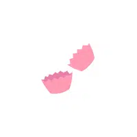 Cupcake liners