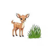 Deer – Grass