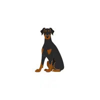 Doberman | Types of Dogs Names in English