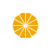 Dodecagon - Geometric Shapes Names