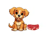 Dog – Meat - Animals Foods Names