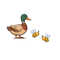 Duck – Insects