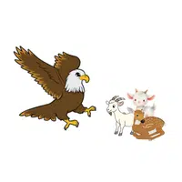 Eagle – mammals - Animals Foods Names