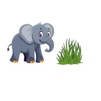 Elephant – Grass - Animals Foods Names