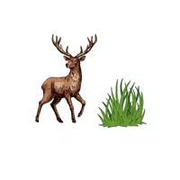 Elk – Grass