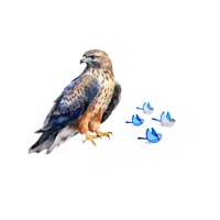 Falcon – Birds - Animals Foods Names