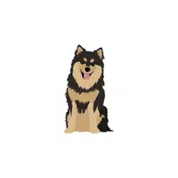 Finnish Lapphund Types of Dogs Names in English