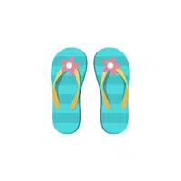 Flip-flops - Beach Items Names