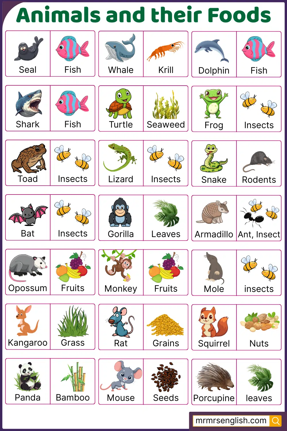 Foods for Wild Animals with Pictures