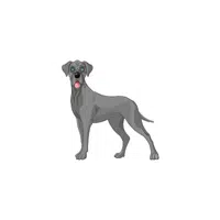 Great Dane | Types of Dogs Names in English