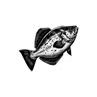 Halibut | Seafood items Names in English