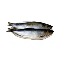 Herring