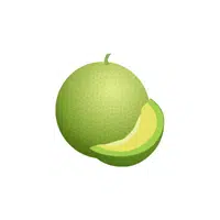 Honeydew | Grocery Store items Names in English